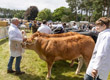 Malton Show 2024